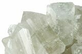 Gemmy, Topaz Crystal Cluster - Sherlova Gora, Siberia #227216-2